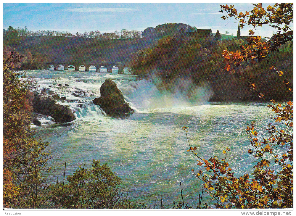 Rheinfall Bei Schaffhausen - Herbst - Autres & Non Classés