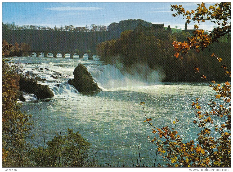 Rheinfall Bei Schaffhausen - Herbst - Autres & Non Classés