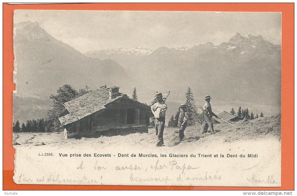 Y173,Ecovets,Dent De Morcles,Glaciers Du Trient , Dent Du Midi, 2805, Paysan, Précurseur, Circulée 1904 - Morcles
