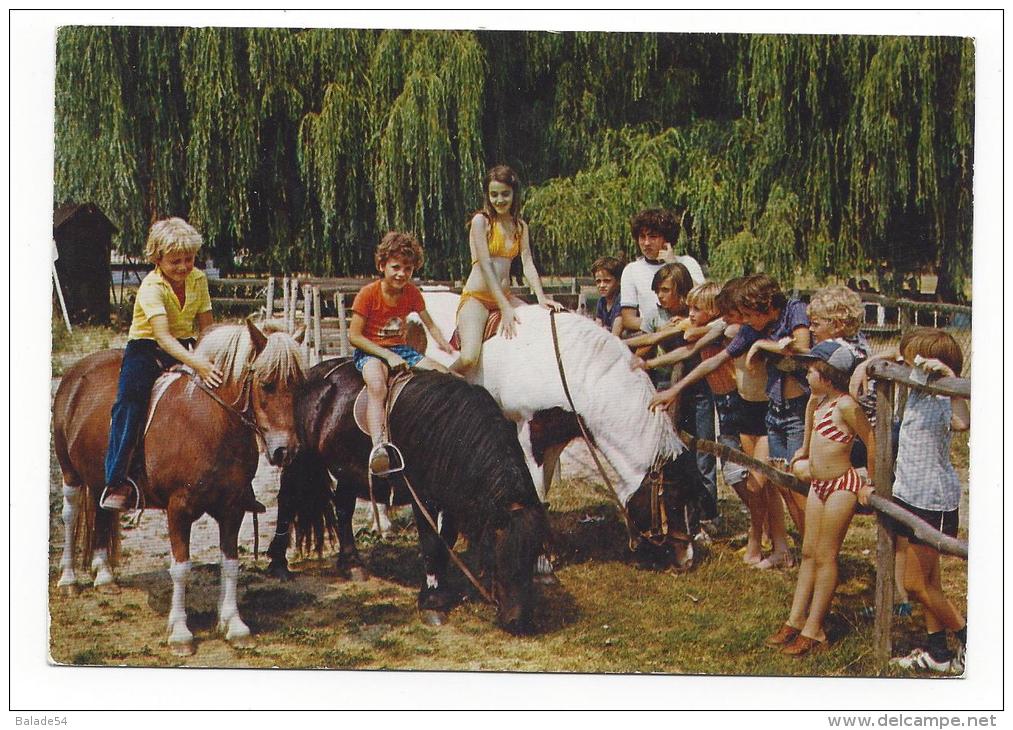 CPM - CLOYES-SUR-LE-LOIR (28) Parc De Loisirs - Les Poneys (très Animée) - Cloyes-sur-le-Loir