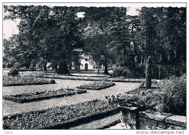 Dilbeek  Résidence  Maria Assumpta  Maison Des Repos    Jardins - Dilbeek