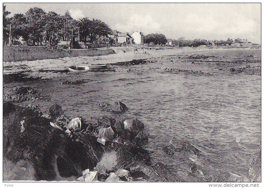 Aj - Cpsm Grand Format CARNAC - La Petite Plage De Legenès - Carnac