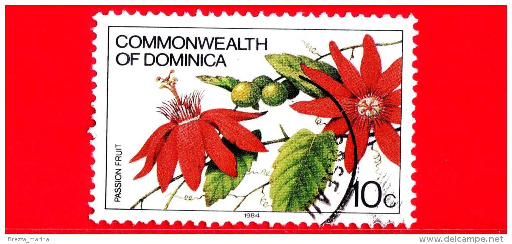 Commonwealth Of DOMINICA - 1984 - Fiori - Piante - Frutti - Flowers - Passion Fruit  - 10 - Dominica (1978-...)