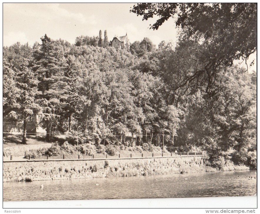 Waldheim - Blick Zur Gaststatte Goldene Hohe - Waldheim