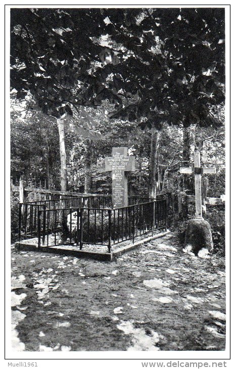 Nr. 285,  AK  Insel Ösel,  Estland, Grab Des Kgl. Preuß. Leutnant Walter Fler, Friedhof Von Peude - Monumentos A Los Caídos