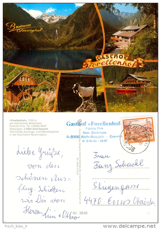 2) AK Steiermark 8966 Aich-Assach Gasthof Forellenhof Bodensee Seewigtal Ennstal Österreich Austria Ansichtskarte - Gratkorn