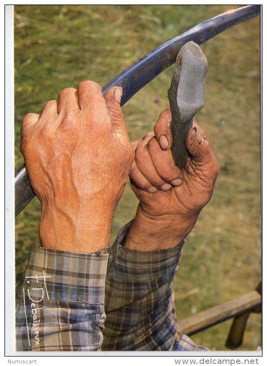 Photos Francis Debaisieux..les Mains..faux..pierre à Aiguiser - Photographie