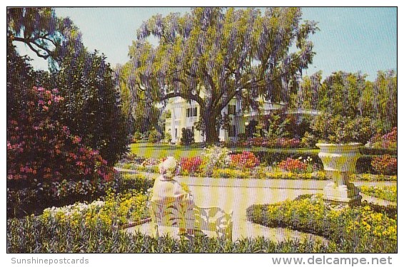 Orton Plantation Wilmington North Carolina 1966 - Wilmington