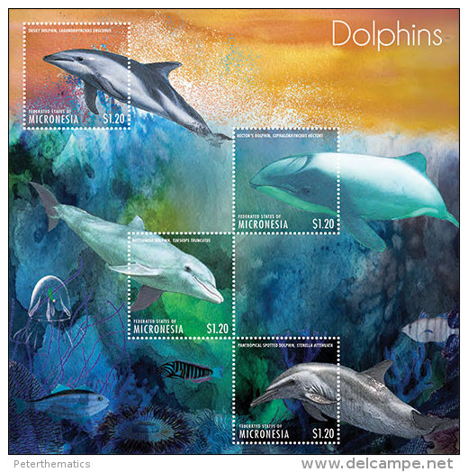 MICRONESIA ,2013 ,MNH, DOLPHINS,  PART II,SHEETLET+ S/SHEET - Dolphins