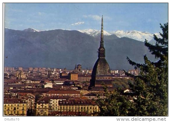 Torino - Scorcio Panoramico Con Le Mole Antonelliane - Palazzo Reale - 350 - Formato Grande Viaggiata - S - Panoramic Views