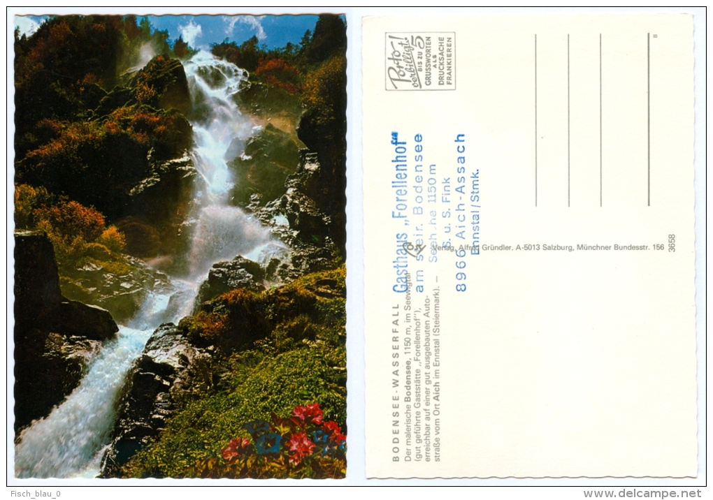 AK Steiermark 8966 Aich-Assach Bodensee-Wasserfall Seewigtal Ennstal Forellenhof Österreich Austria Autriche - Gröbming