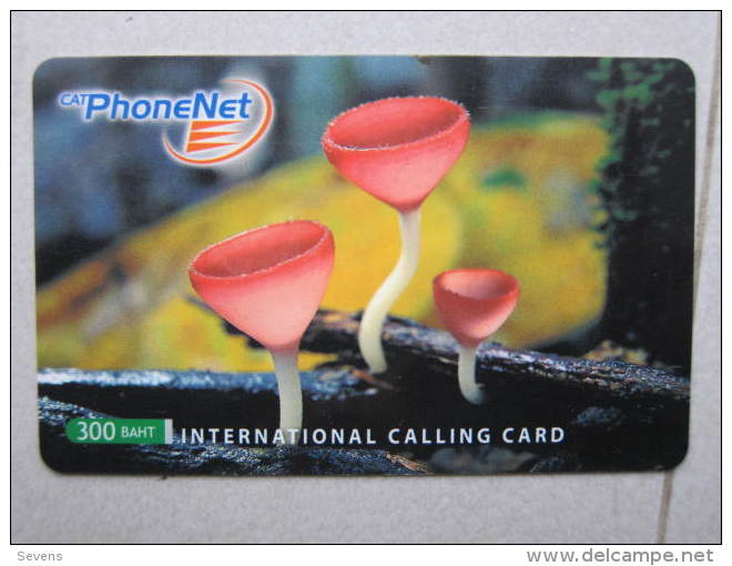 Prepaid Phonecard,Mushroom,used - Thaïlande