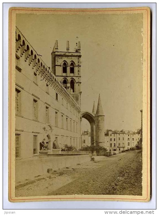 Photographie Originale 34 Montpellier Cathédrale Faculté De Médecine   ...Circa 1900 - Autres & Non Classés