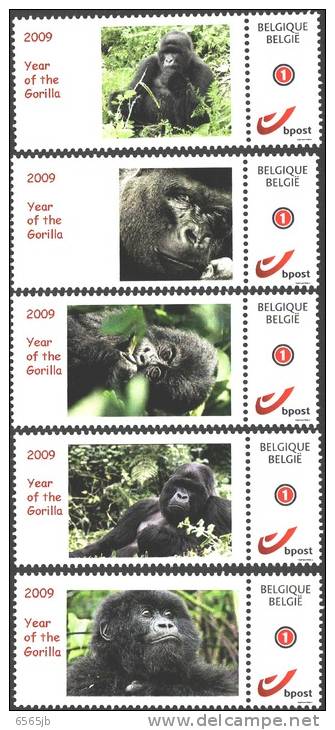 Mystamp MNH  2009 Year Of The Gorilla (5x) - Otros & Sin Clasificación