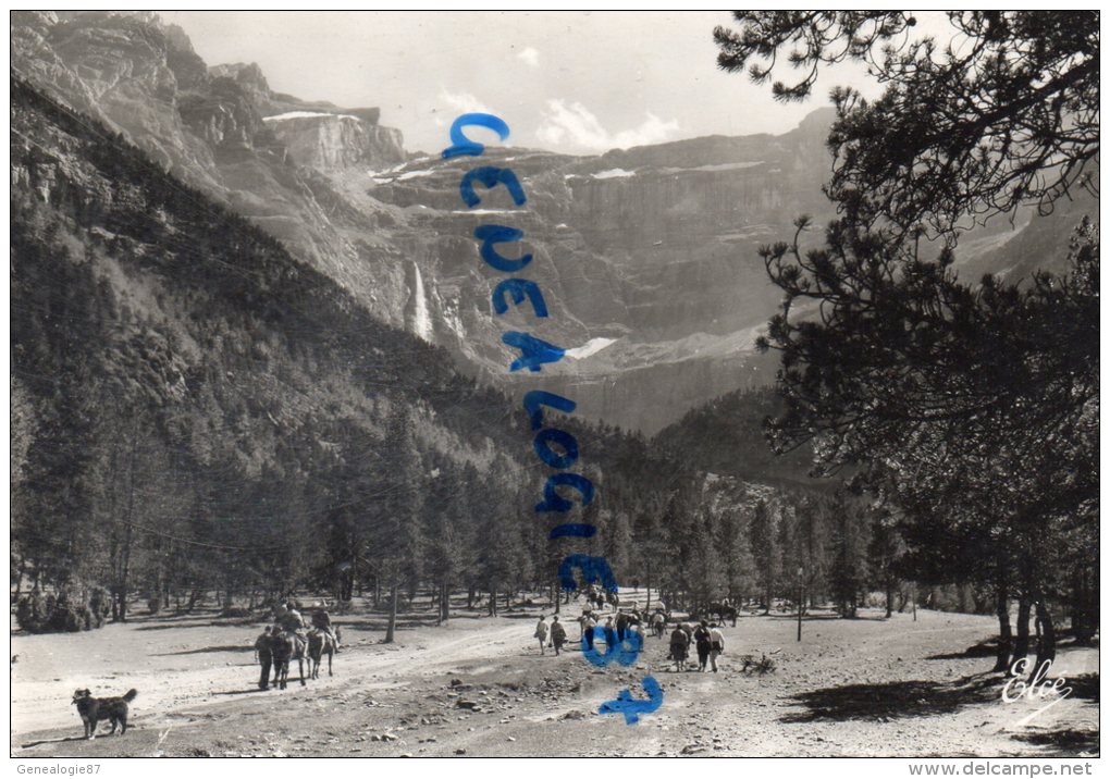 65 - GAVARNIE - LE CHEMIN VERS LE CIRQUE   - CARTE PHOTO  CHATAIGNEAU 1958- CACHET HOTEL DU CIRQUE ET PONT DE NEIGE - Gavarnie