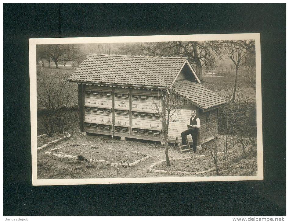 Suisse AG - Carte Photo Apiculteur à SULZ Laufenburg  Merki Imker Honig Bienenhaus Miel Apiculture Rucher Ruche - Laufenburg 