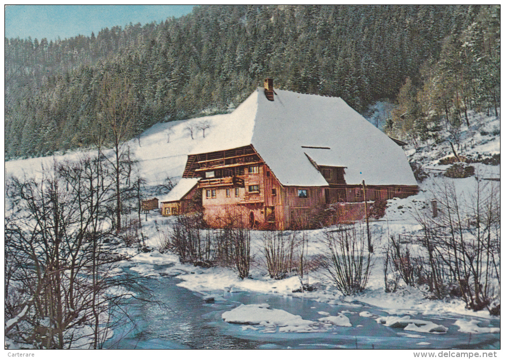 Allemagne,bade Wurtemberg,triberg Im Schwarzwald,avec Tampon Le Vaguemestre,rare,drapeau Français,franchise Militaire - Freiburg I. Br.