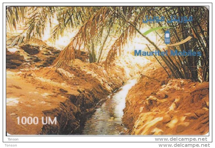 Mauritania, MR-MAU-NAT-0015?, 1000 UM,  Oasis  (31-12-2002), 2 Scans. - Mauritania