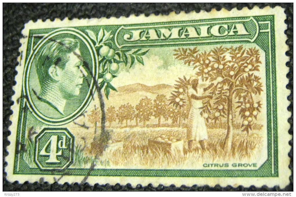 Jamaica 1938 Citrus Grove 4d - Used - Jamaica (...-1961)