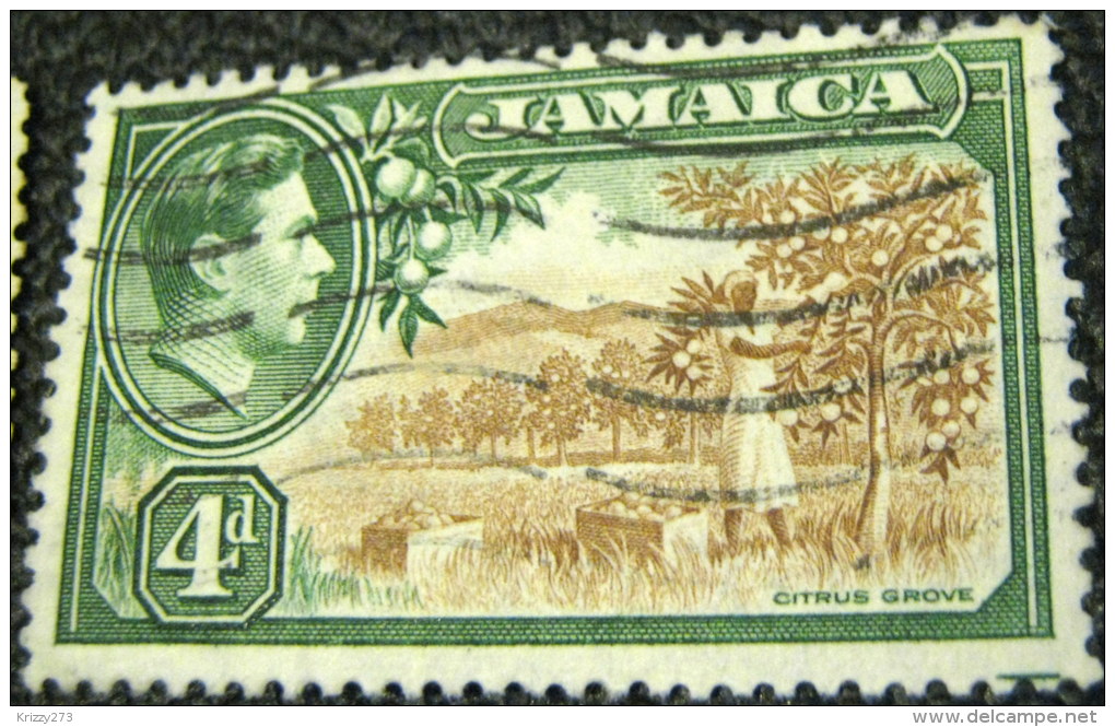 Jamaica 1938 Citrus Grove 4d - Used - Jamaïque (...-1961)
