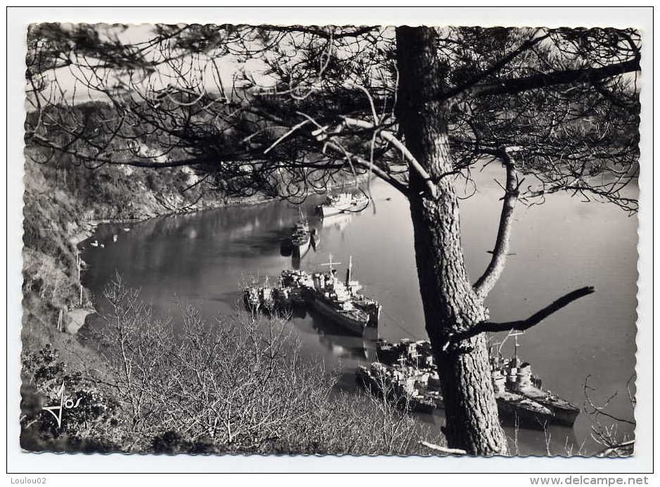 29 - LANDEVENNEC - Les Bateaux De Guerre Au Repos - Bord Dentelé - Excellent état - Landévennec