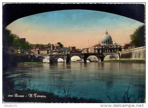 Roma - Il Tevere - 206 - Formato Grande Viaggiata Mancante Di Affrancatura - S - Fiume Tevere