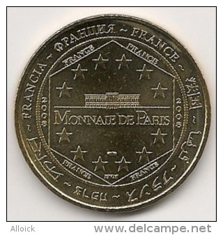 Médaille   Cathédrale De Chartres  -  Notre-Dame De La Belle Verrière  -  2008  -  Neuve  -  Monnaie De Paris - 2008