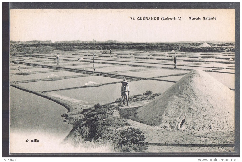 GUERANDE . Marais Salants . - Guérande