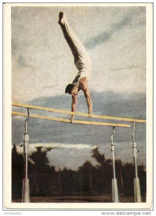 GYNNASTIQUE GARÇONS - Gymnastique