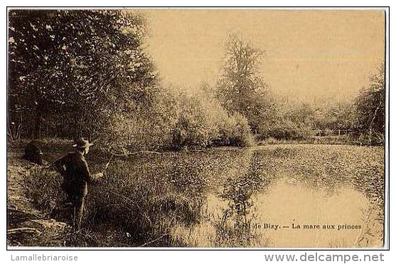 27 - PARC DE BIZY - LA MARE AUX PRINCES - CARTE A DOS SIMPLE (1ère édition) - Sonstige & Ohne Zuordnung