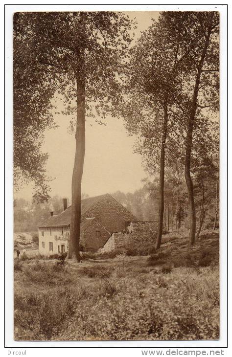 26623  -    Engis  à  La  Lisière Du  Bois  -   Carte  Photo   1912 - Engis