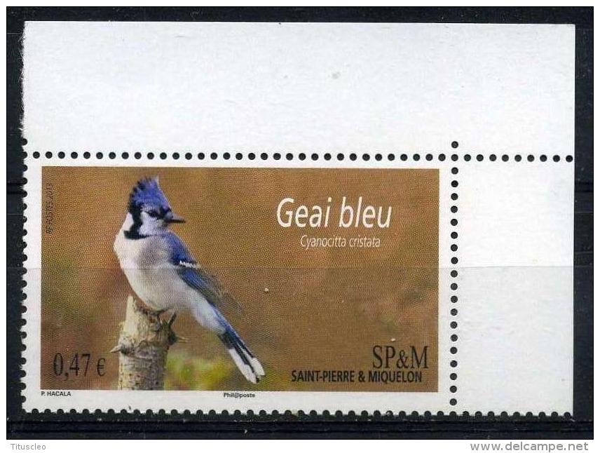 SAINT PIERRE ET MIQUELON  0,47 €  Multicolore**  Geai Bleu - Unused Stamps
