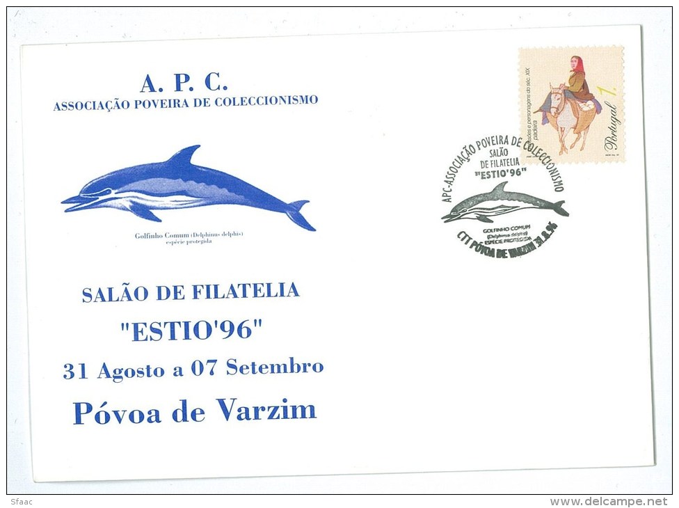 Portugal - Common Dolphin -  Protected Species - Estio 96 APC - Póvoa De Varzim - Dolphins