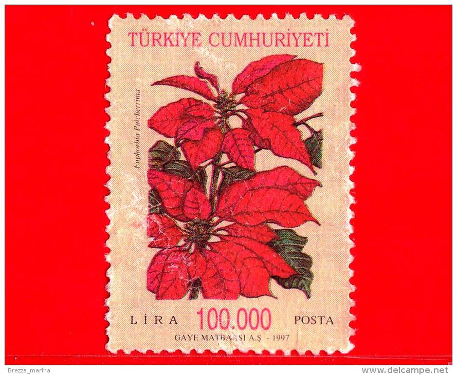 TURCHIA - USATO - 1997 - Fiori - Stella Di Natale - Poinsettia (Euphorbia Pulcherima) - 100.000 - Usados