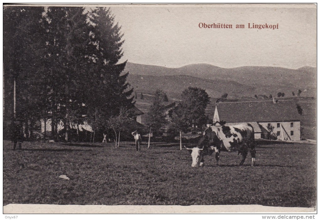 ORBEY (Haut-Rhin) Ferme Auberge-Chaume Oberhütten Am Lingekopf - Le Linge - 2 SCANS - - Autres & Non Classés