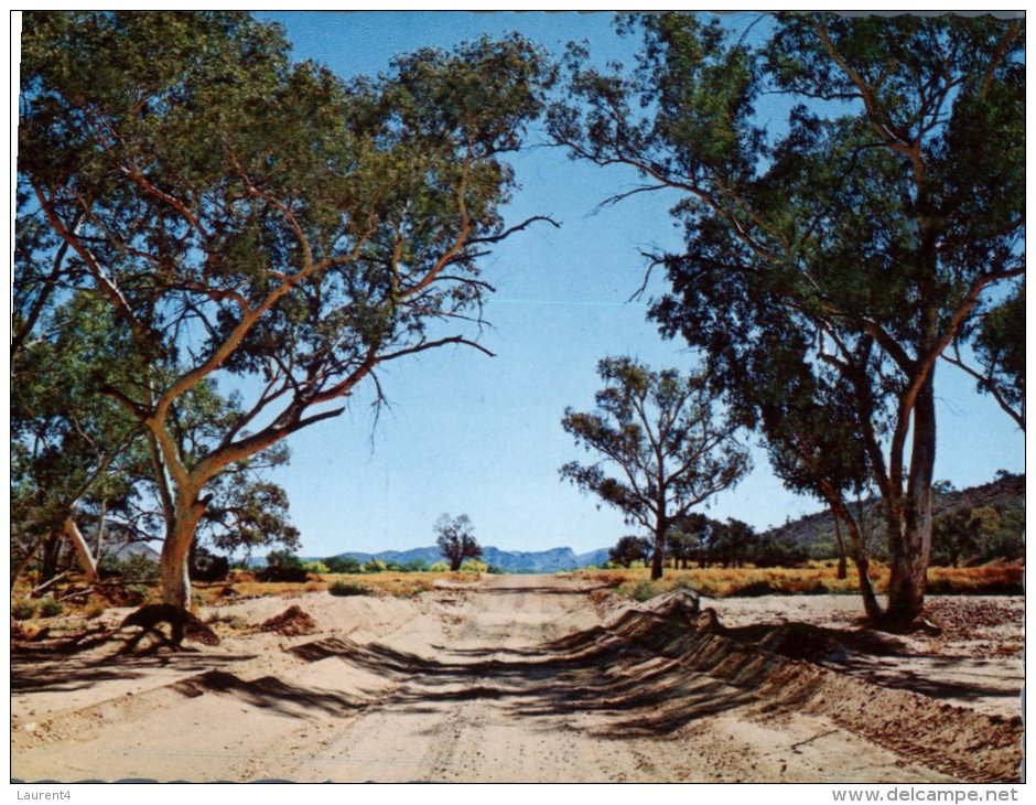 (212) Australia - NT - River Gums - The Red Centre