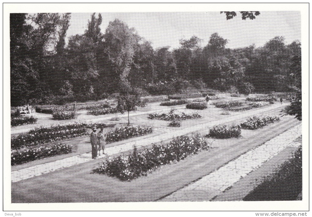 Postcard Rose Garden Hesketh Park SOUTHPORT 1930 Repro - Southport