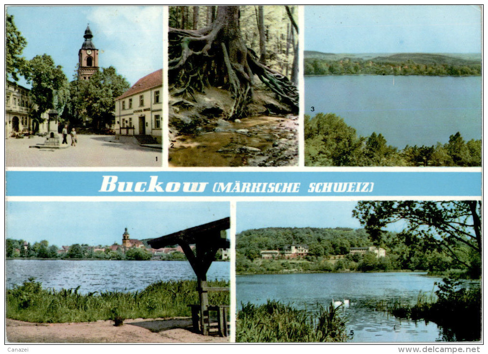AK Buckow, Markt, Wurzelfichte, Gel, 1966 - Buckow