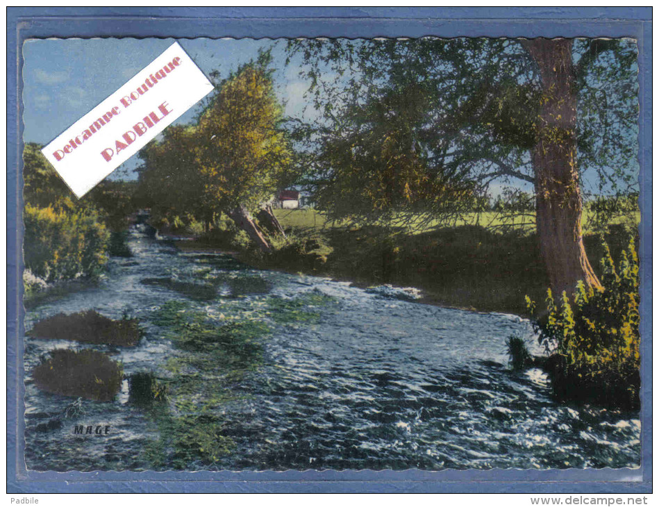 Carte Postale 62. Saint-Pol-sur-Ternoise  Trés Beau Plan - Saint Pol Sur Ternoise