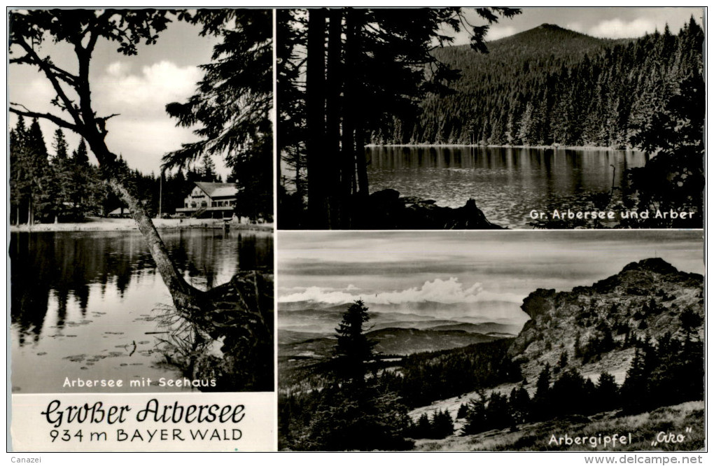 AK Arber, Großer Arbersee, Stempel Neukirchen, Gel Um 1960 - Bodenmais