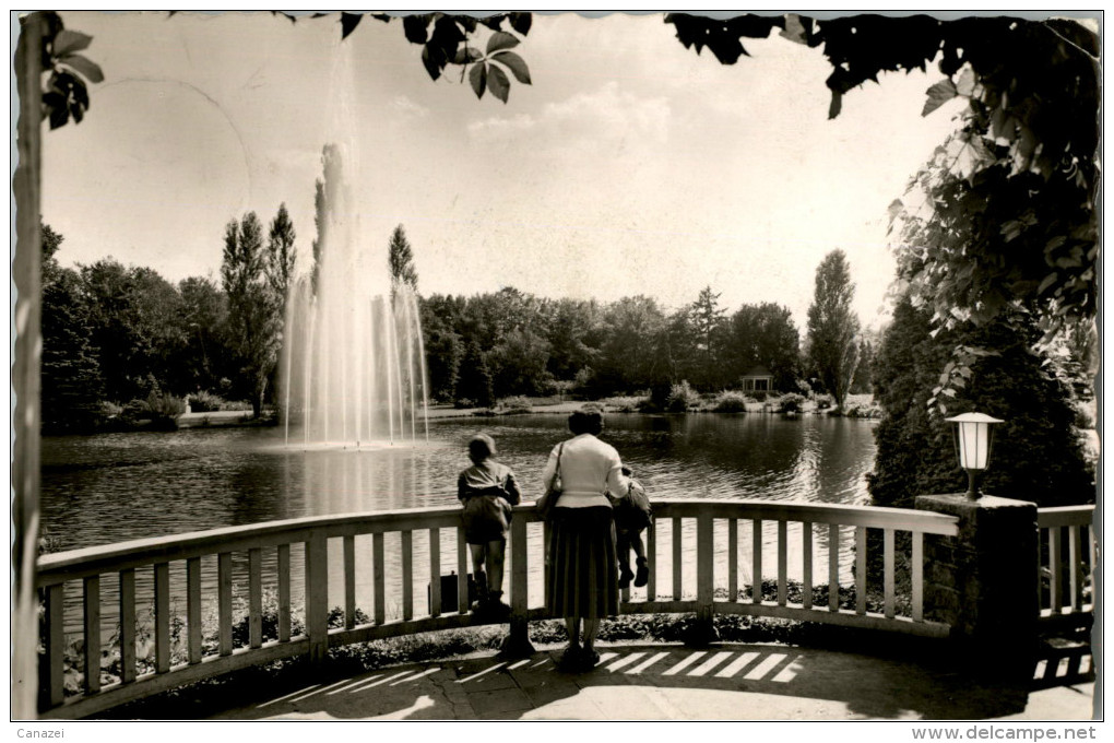 AK Zweibrücken, Rosengarten, Gel Um 1960 - Zweibruecken