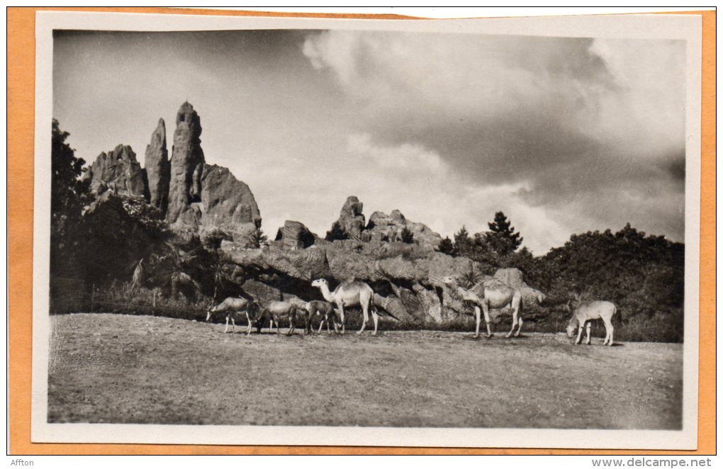 Carl Hagenbecks Tierpark Altona Stellingen Hamburg 1920 Postcard - Altona