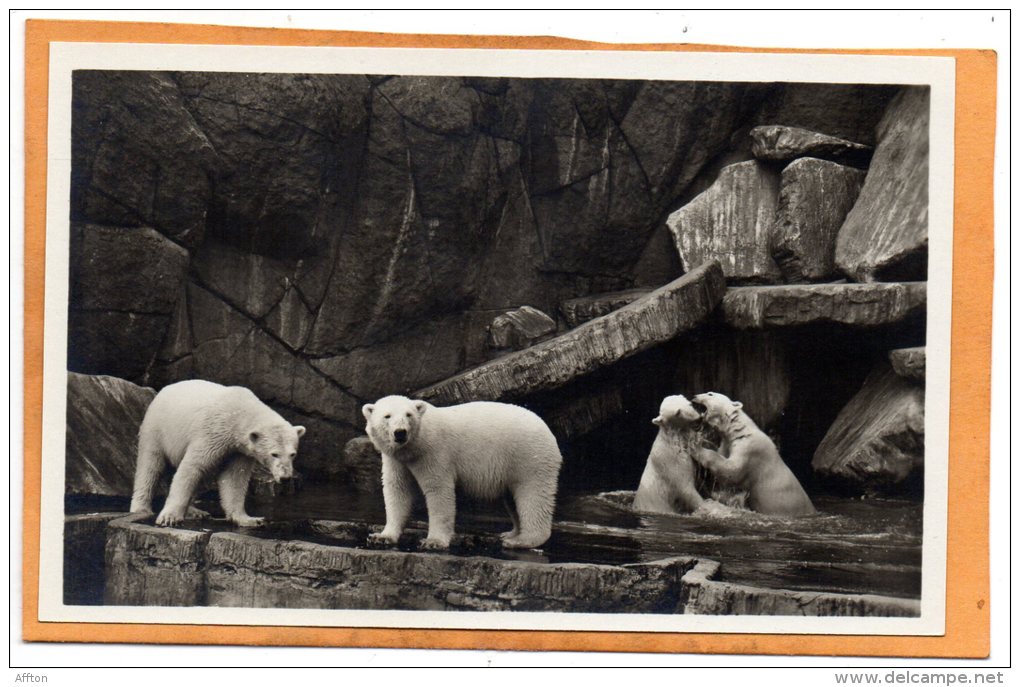 Carl Hagenbecks Tierpark Altona Stellingen Hamburg 1920 Postcard - Altona