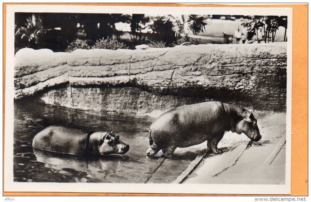 Carl Hagenbecks Tierpark Altona Stellingen Hamburg 1920 Postcard - Altona