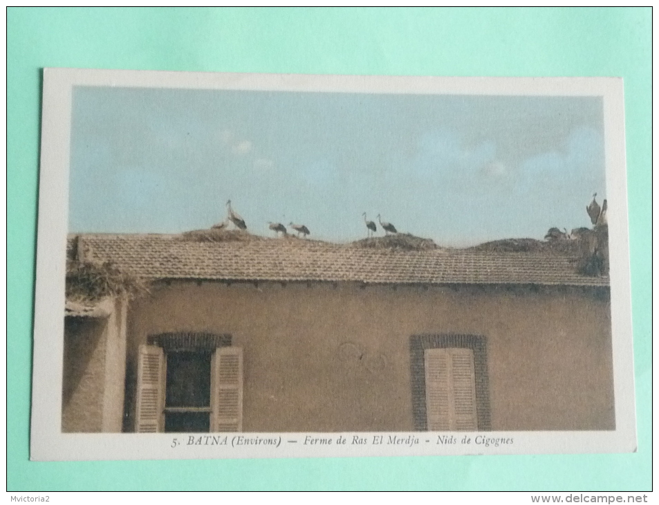 BATNA - Ferme De RAS EL MERDJA, Nids De Cigognes,1939 - Batna