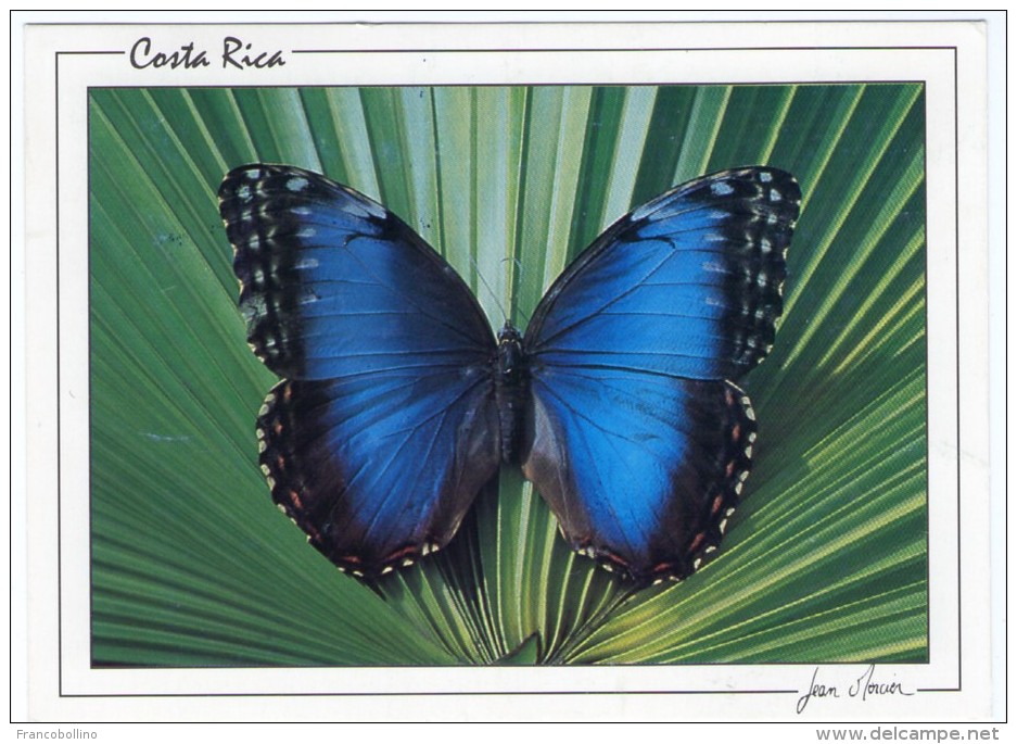 COSTA RICA - BUTTERFLY/PAPILLON BLUE MORPHO / THEMATIC STAMPS-AIRPLANE-FOOTBALL WORLD CUP 2002 - Costa Rica