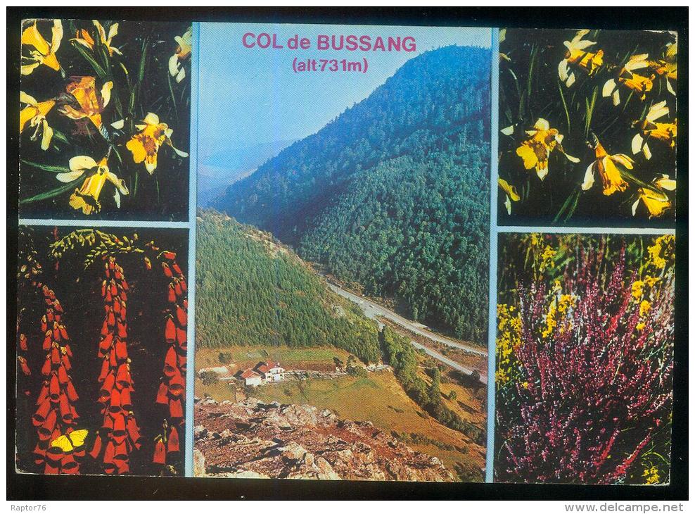 CPM  88  COL DE BUSSANG Et Fleurs Vosgiennes - Col De Bussang