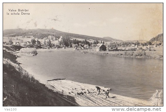 CPA BISTRITA RIVER VALLEY- SCHELA DORNA, PANORAMA - Roumanie