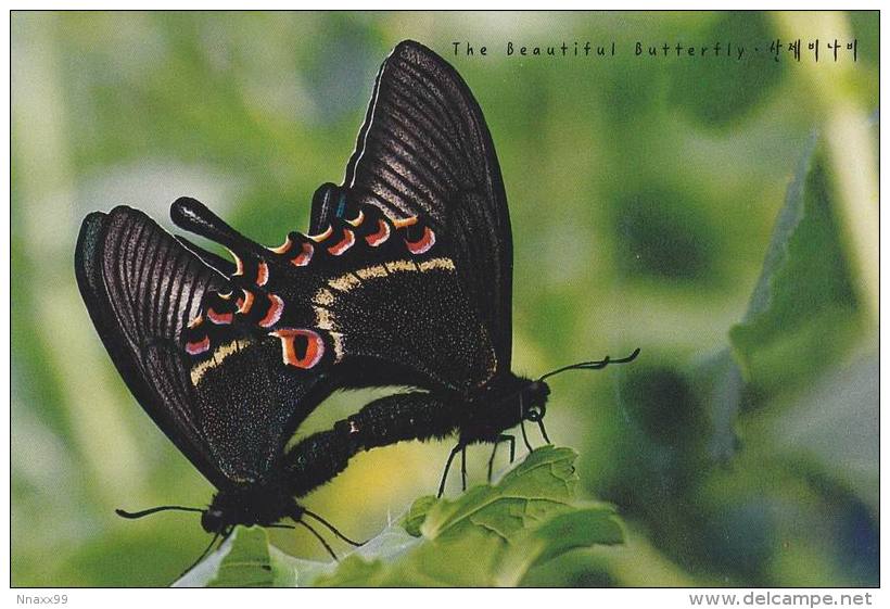 Insect - Butterfly - Alpine Black Swallowtail (Papilio Maackii Menetries), Korea's Postcard - Insetti