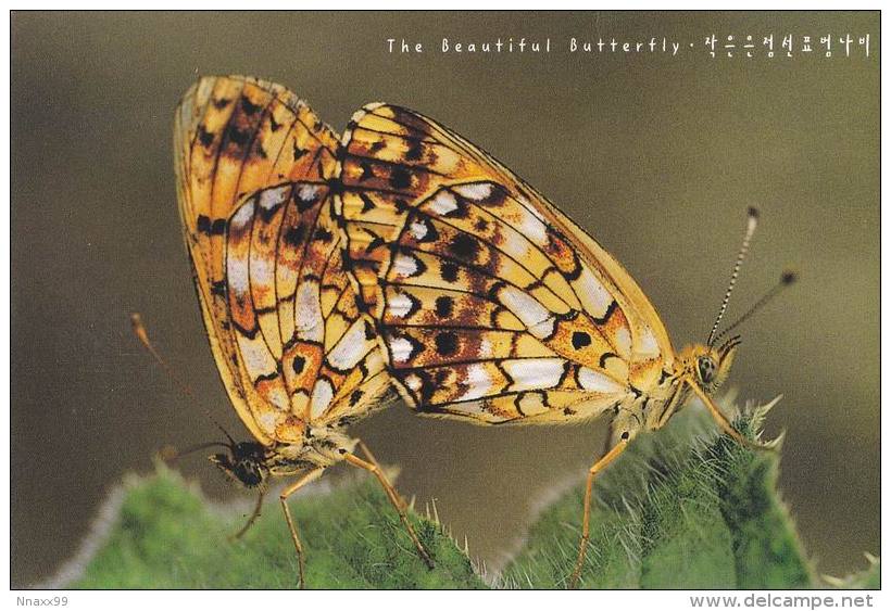 Insect - Butterfly - Clossiana Perryi (Butler), Korea's Postcard - Insetti